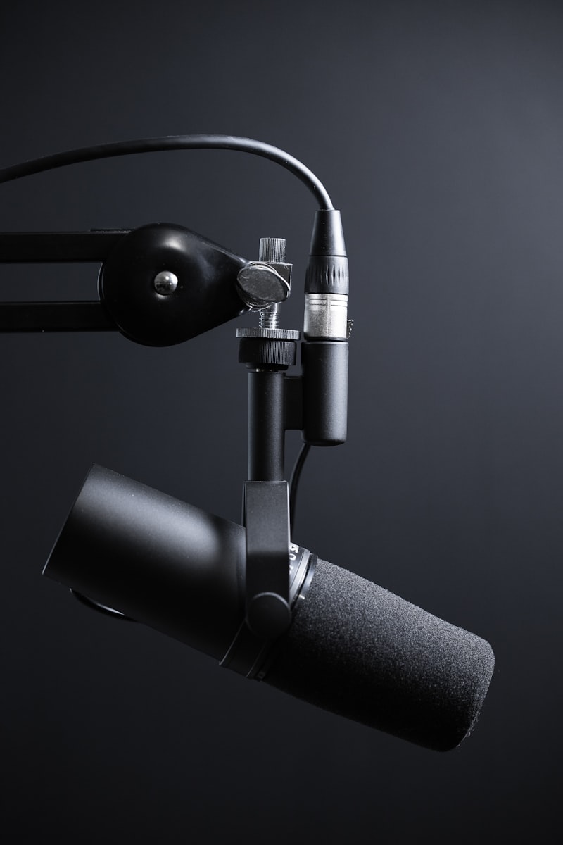 Microphone professionnel de studio